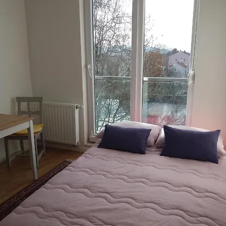 Apartman Dragica U Centru Grada Trebin