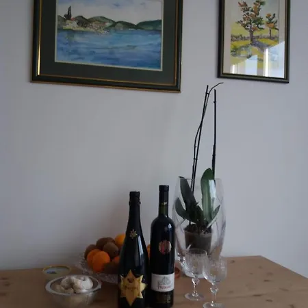 Apartman Dragica U Centru Grada