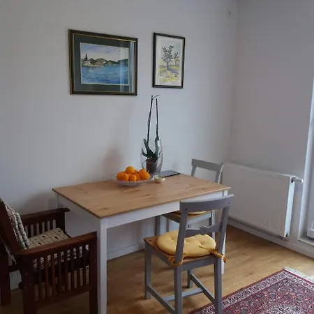 Apartman Dragica U Centru Grada * Trebin
